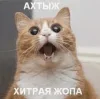 Стикер 57 Новогодние К