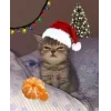 Стикер 25 Новогодние К