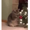 Стикер 8 Новогодние К
