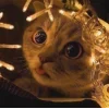 Стикер 49 Новогодние К