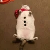 Стикер 19 Новогодние К