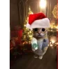 Стикер 28 Новогодние К