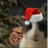 Стикер 30 Новогодние К