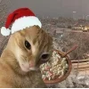Стикер 55 Новогодние К
