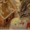 Стикер 59 Новогодние К