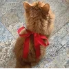 🤩 Эмодзи «Новогодние К» для Telegram
