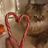 Стикер 47 Новогодние К