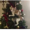 Стикер 22 Новогодние К