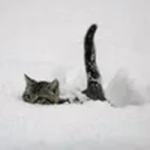 ❄️ Эмодзи «winter vibe» для Telegram