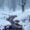 🌨 Эмодзи «winter vibe» для Telegram