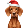 🤩 Эмодзи «winter xmas ios» для Telegram