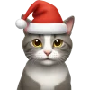🤩 Эмодзи «winter xmas ios» для Telegram