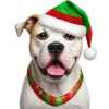 🤩 Эмодзи «winter xmas ios» для Telegram