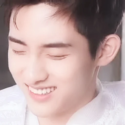 🍣 Стикер «WayV nct» для Telegram