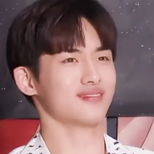 🍣 Стикер «WayV nct» для Telegram