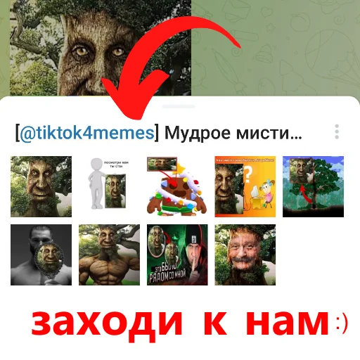👍 Стикер «Мудрое мистическое дерево» для Telegram