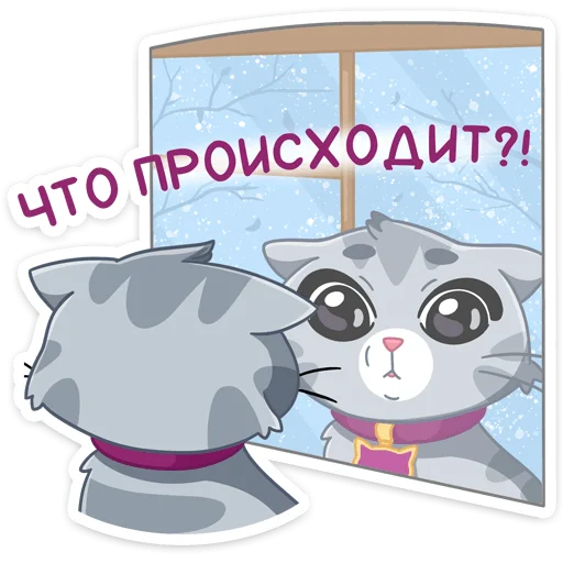 😳 Стикер «Табби» для Telegram