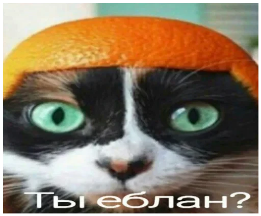 😜 Стикер «wikkin» для Telegram