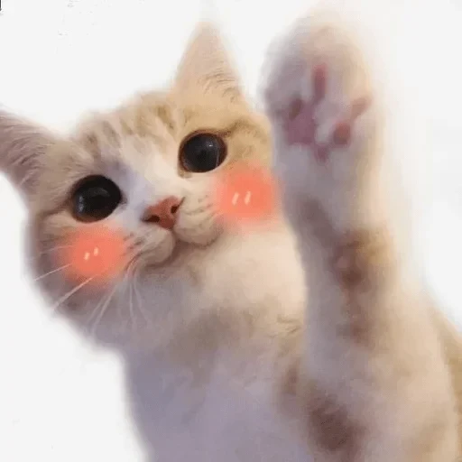 😘 Стикер «wikkin» для Telegram