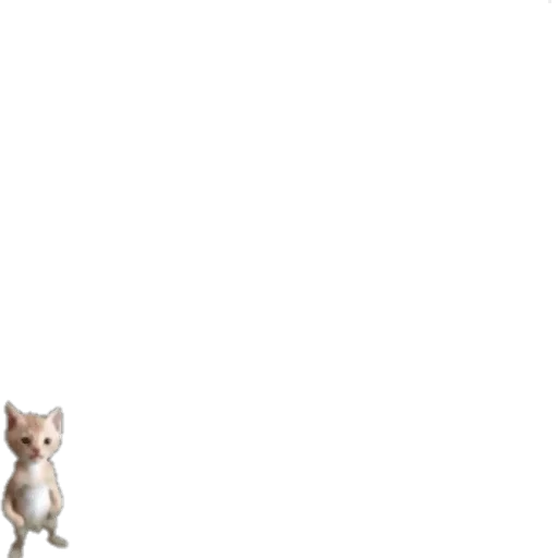😶 Стикер «CHIQUITOS» для Telegram