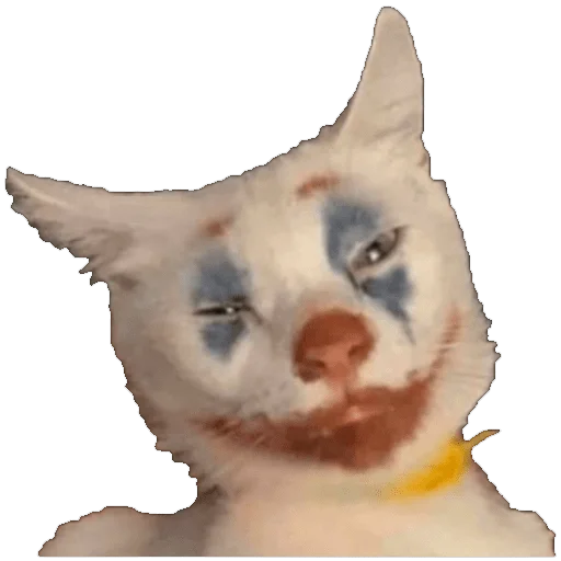 🤡 Стикер «CLOWNS» для Telegram