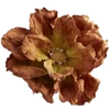 Стикер 48 Vintage Arcana