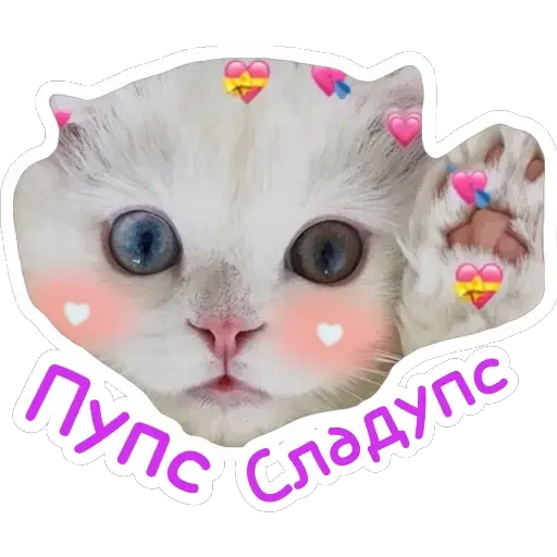 🍭 Стикер «Ведьмины штучки» для Telegram