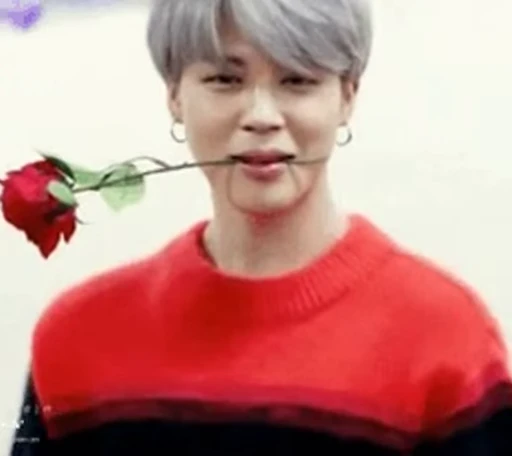 🌹 Стикер «With BTSnewpack 20 22» для Telegram