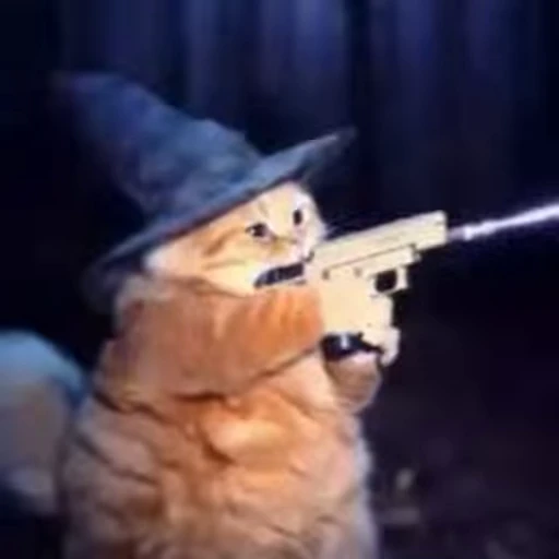 🪄 Стикер «Wizard Cat» для Telegram