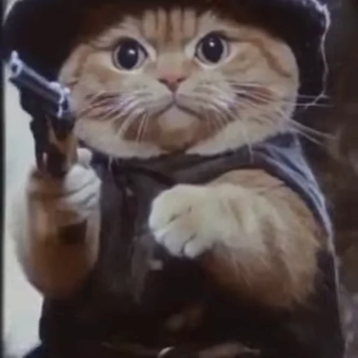🪄 Стикер «Wizard Cat» для Telegram