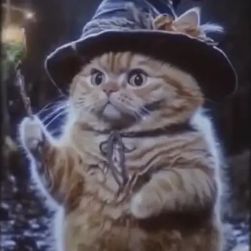 🪄 Стикер «Wizard Cat» для Telegram
