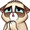Стикер 49 Welovegames Twitch Pack