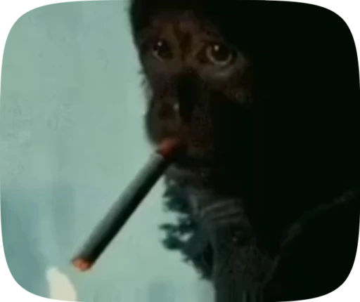 🐵 Стикер «Деанон Воблі» для Telegram