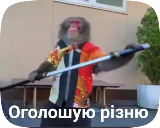 🐵 Стикер «Деанон Воблі» для Telegram