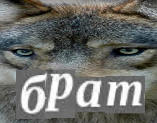 Стикерпак Волк за брата для Telegram