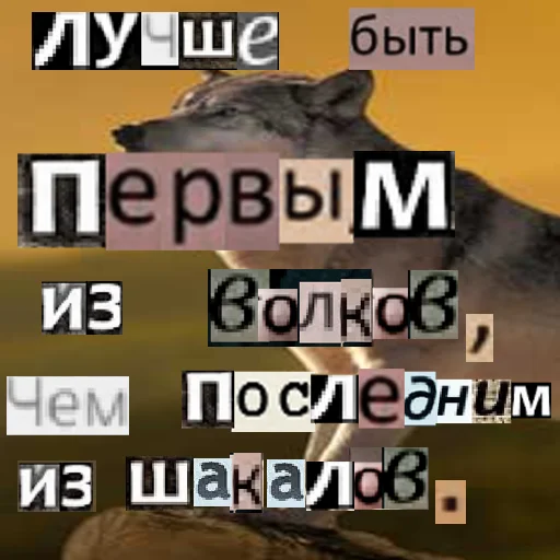 😒 Стикер «Волк за брата» для Telegram