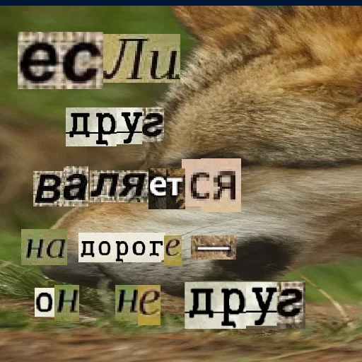 🤔 Стикер «Волк за брата» для Telegram