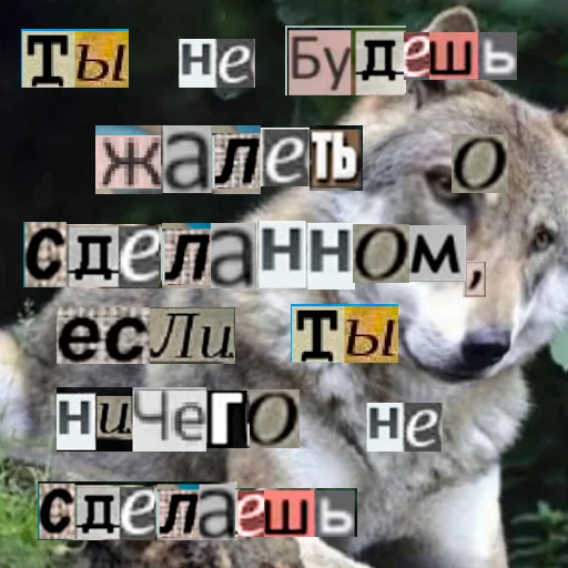 😉 Стикер «Волк за брата» для Telegram