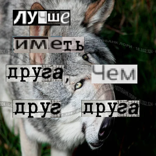 👥 Стикер «Волк за брата» для Telegram