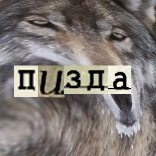 💅 Стикер «Волк за брата» для Telegram