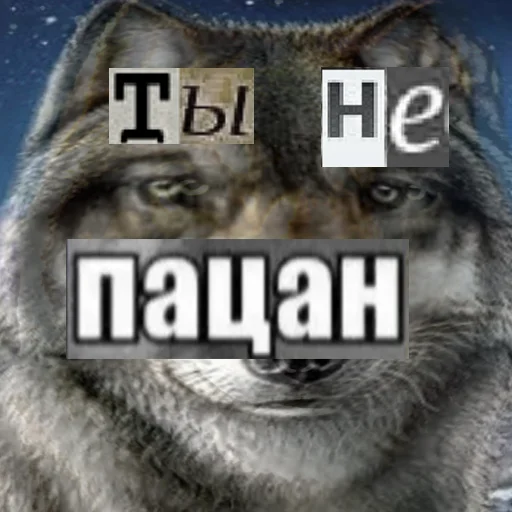 👩 Стикер «Волк за брата» для Telegram