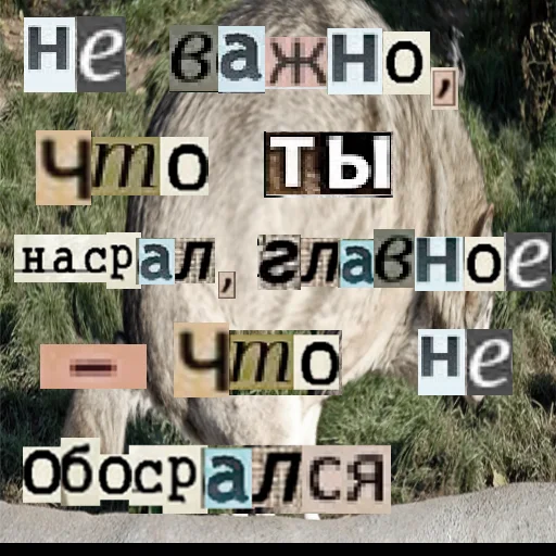 🚽 Стикер «Волк за брата» для Telegram