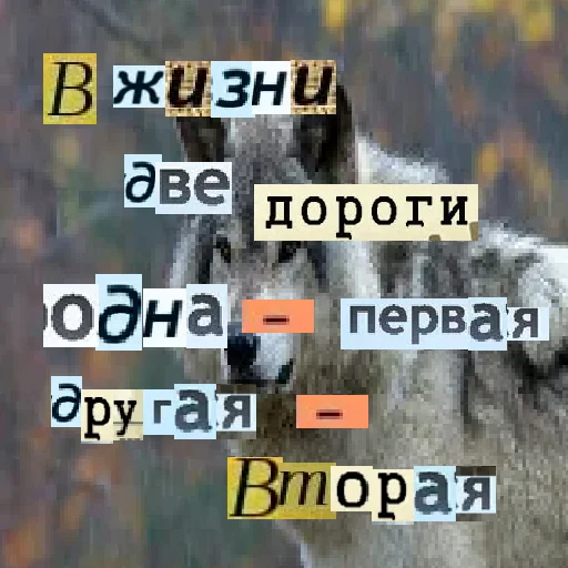 ✌️ Стикер «Волк за брата» для Telegram