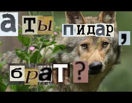 🧐 Стикер «Волк за брата» для Telegram