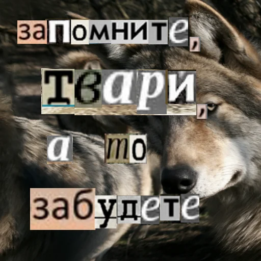 🧠 Стикер «Волк за брата» для Telegram