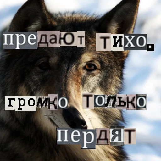😕 Стикер «Волк за брата» для Telegram