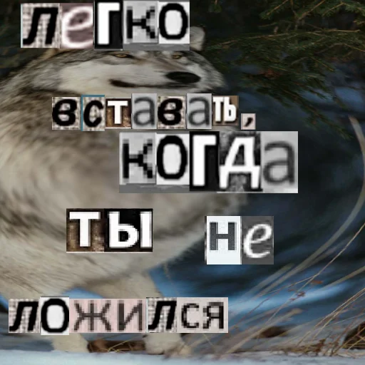 👊 Стикер «Волк за брата» для Telegram