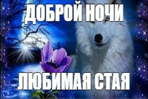 🐺 Стикер «Волчьи цитаты» для Telegram