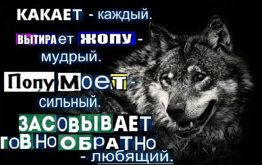 🐺 Стикер «Волчьи цитаты» для Telegram