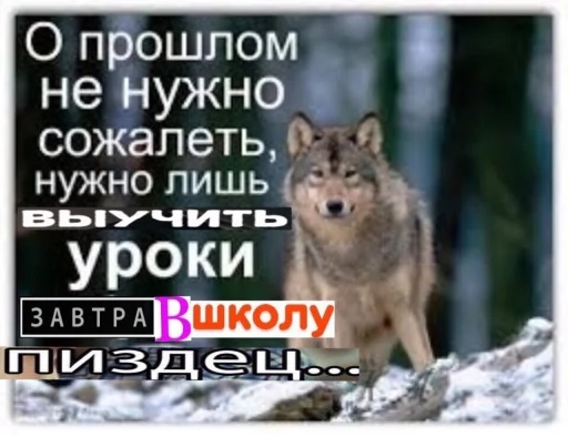 🐺 Стикер «Волчьи цитаты» для Telegram